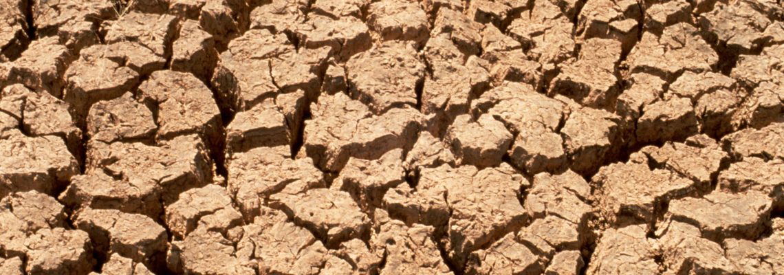 Drought Ground